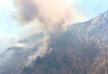 Incendi, situazione drammatica in Calabria: mobilitata la Protezione civile nazionale