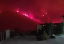 Tragedia in Calabria, zia e nipote muoiono tra le fiamme. Ritrovati i cadaveri