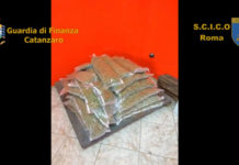 Calabria, traffico internazionale di droga: smantellata organizzazione criminale, 57 arresti