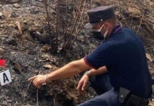 Giovane dà fuoco alla vegetazione: Individuato dalle telecamere