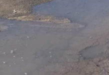 San Nicola Arcella-Spiaggia Tufo-Arcomagno: Fuoriuscita liquami.