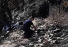 Arrestato responsabile incendi di Agosto nella provincia di Cosenza