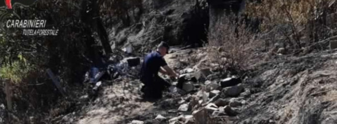 inCollage_20210923_102329506