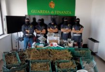 LABORATORIO PER LA LAVORAZIONE DI MARIJUANA IN CASA, DUE ARRESTI