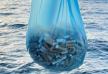 Diamante, Peperoncino Festival, collaborazione tra comune e Plastic Free Onlus