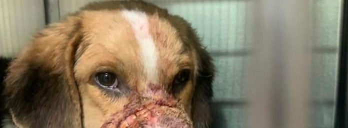 inCollage_20211002_113259099