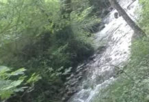Centralina Idroelettrica su Fiumarella di Tortora: Interviene Italia Nostra