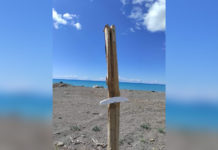 Praia a Mare: “Che fastidio danno i cartelli informativi per la tutela dei Gigli di Mare?”