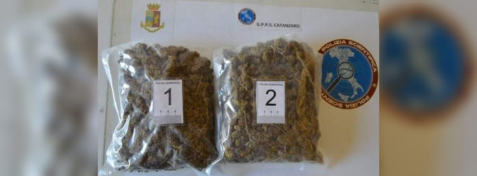 inCollage_20211020_183532733