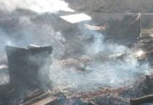 “Dai boschi ai rifiuti” La Denuncia