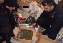 Operaio in possesso di Marijuana: Denunciato