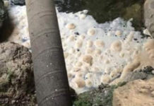 “Liquami depuratore Fuscaldo finiscono in mare”. Middea: “Depurazione Acque eccellente”