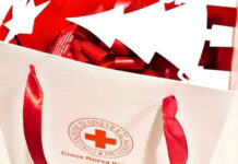 Paola. La Croce Rossa propone l’iniziativa del “Panettone Solidale”