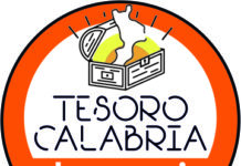 Carlo Tansi: “Ecco il futuro di Tesoro Calabria”