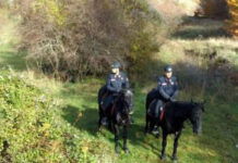 Centauri multati perché non in regola. Sequestrate loro moto