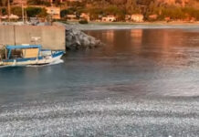 Cetraro. Il porto (Tra promesse e attese) rischia ancora l’insabbiamento. Aieta lancia l’allarme