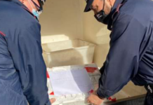 Pesce venduto su di un furgone, senza tracciabilità ed in cattivo stato di conservazione. Blitz dei Carabinieri