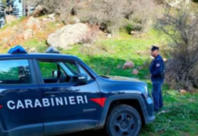 Opere edili abusive e occupazione di suolo demaniale. Controlli e denunce dei Carabinieri nel Cosentino