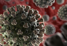 Diamante. I dati Covid-19 registrano una flessione nei contagi”