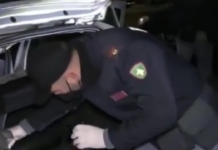 Cosenza. Riciclaggio, ricettazione e spaccio di droga. 5 arresti