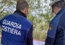 Controlli ambientali cementificio nel cosentino: denunciato il titolare per smaltimento illecito di rifiuti