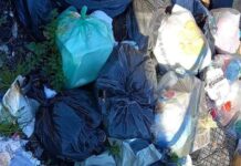 Lettere a PILLAMARO. Fuscaldo ‘È ancora emergenza rifiuti. Cercasi soluzioni vere’