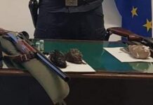Denunciati due cacciatori nella Provincia di Cosenza