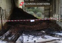 Controlli a frantoio nel cosentino: scatta denuncia al titolare smaltimento illecito di rifiuti