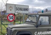 Macellazione clandestina e scarichi abusivi. Sequestri e denunce nel Cosentino