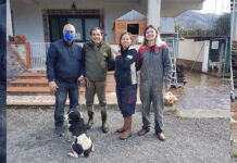 Orsomarso: Poldo, Il cane accalappiato è tornato a casa sano e salvo.