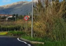 Gentile (FI) interroga il Ministro delle Infrastrutture: “Garantire il completamento dei lavori della Scalea-Mormanno”
