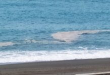 Mare Pulito incontra l’amministrazione comunale di Falconara Albanese