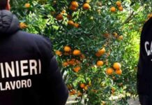 Caporalato in Calabria: 4 Arresti