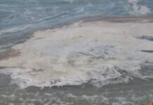‘Mare Pulito’ soltanto due comuni del Tirreno Cosentino hanno rispettato il protocollo.