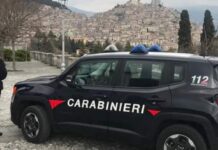 Denunciati dai Carabinieri assuntori di Marijuana in provincia di Cosenza