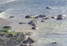 Paola. Sversamenti fognari nella Fiumarella: interviene il nucleo ambiente