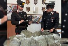 In possesso di sei chili di Marijuana. Blitz dei Carabinieri in Provincia di Cosenza.