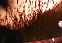SS18. Incendio tra Paola e Fuscaldo (Vicino Stazione di rifornimento). -FOTO-