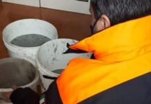 Sequestrati dalla Guardia Costiera 25 kg di prodotto ittico nel Cosentino.