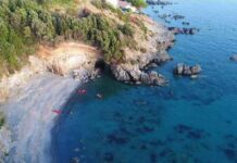 “Le meraviglie del territorio della Riviera dei Cedri e la piccolezza di chi non guarda oltre il suo naso”