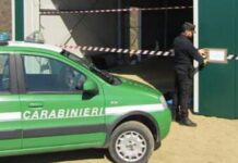 Controlli edilizi, posto sotto sequestro capannone abusivo nel Cosentino