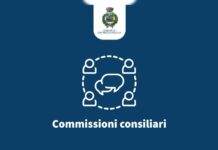 San Nicola Arcella. Ecco le commissioni consiliari