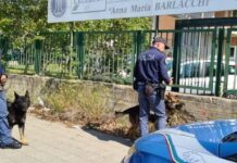 Droga nelle scuole. Blitz della Polizia. Sequestrate diverse dosi