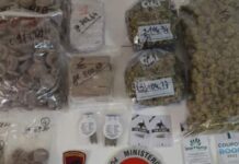 Arrestato dalla Squadra Volante con 2,5 kg di droga
