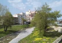 Diamante. Gli ambientalisti “Salviamo gli alberi del Torrente Corvino”