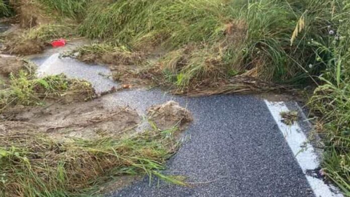 InCollage_20220529_092507877