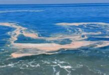 Mare sporco. Segnalazioni sul Tirreno Cosentino.