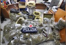 51 KG di Marijuana in casa. Arrestato