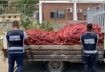 San Lucido. Blitz della Guardia Costiera al porto