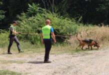 Turista trovato morto sul Tirreno Cosentino. Schiacciato da una parete rocciosa